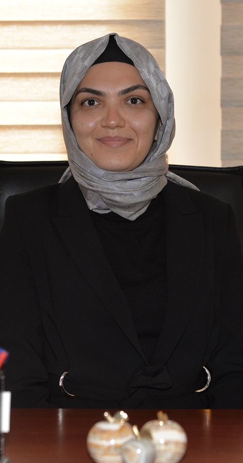 AYLİN YILMAZ GEZGİN